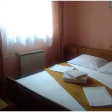 App Antonic Zrinka *